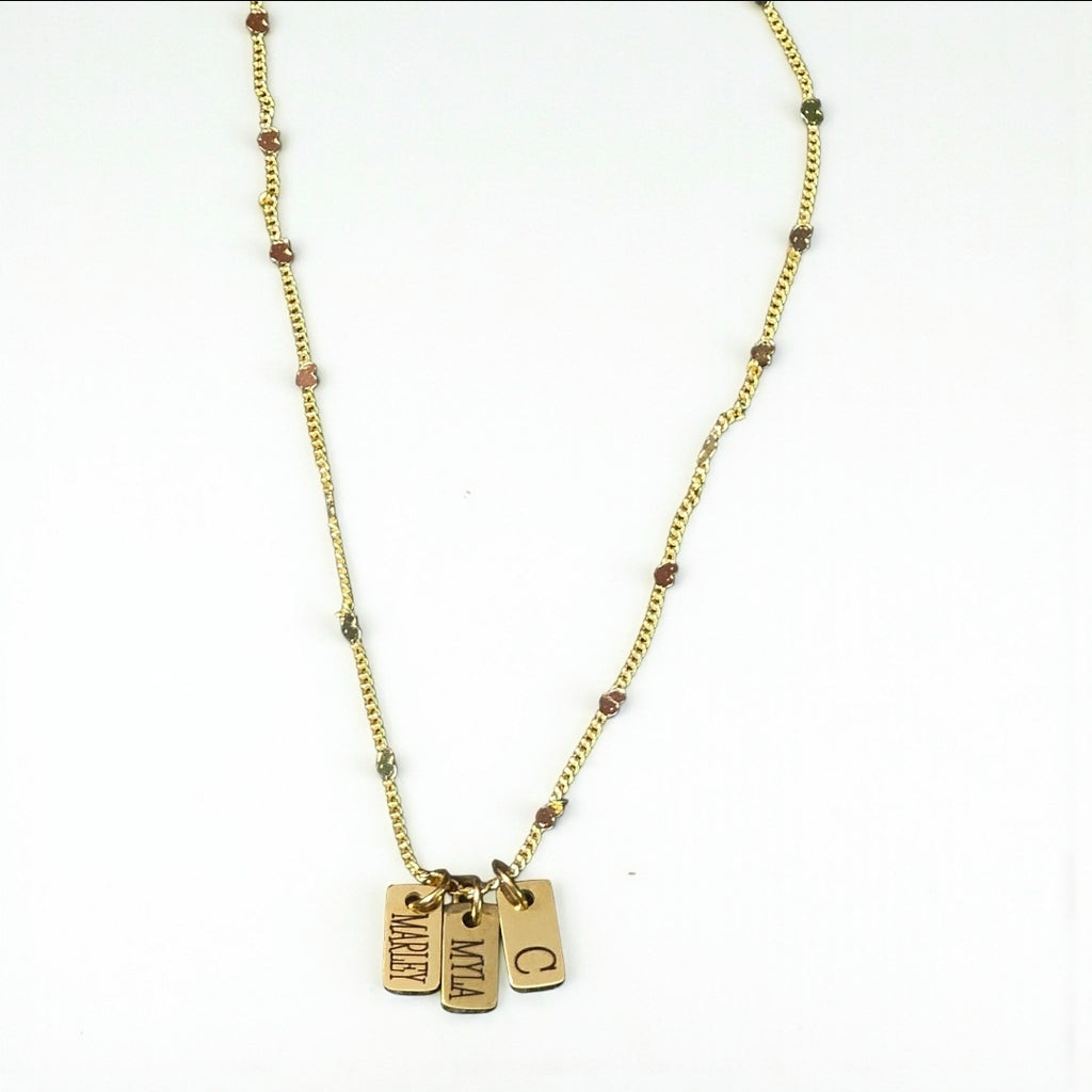 Stainless Steel Petite Tag Charm Necklace